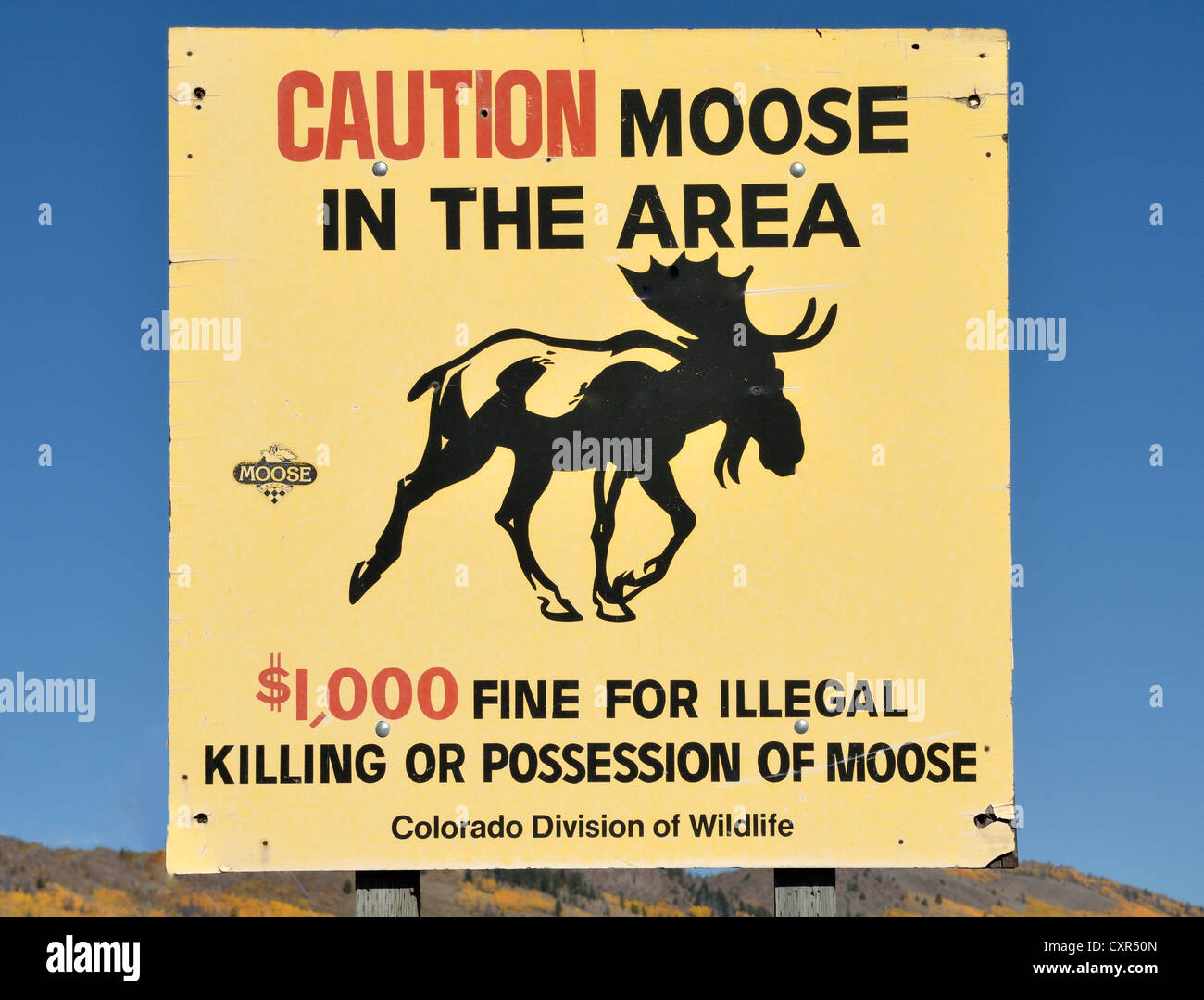 Warning sign, moose hunting ban, State Road 125, Colorado, USA Stock Photo