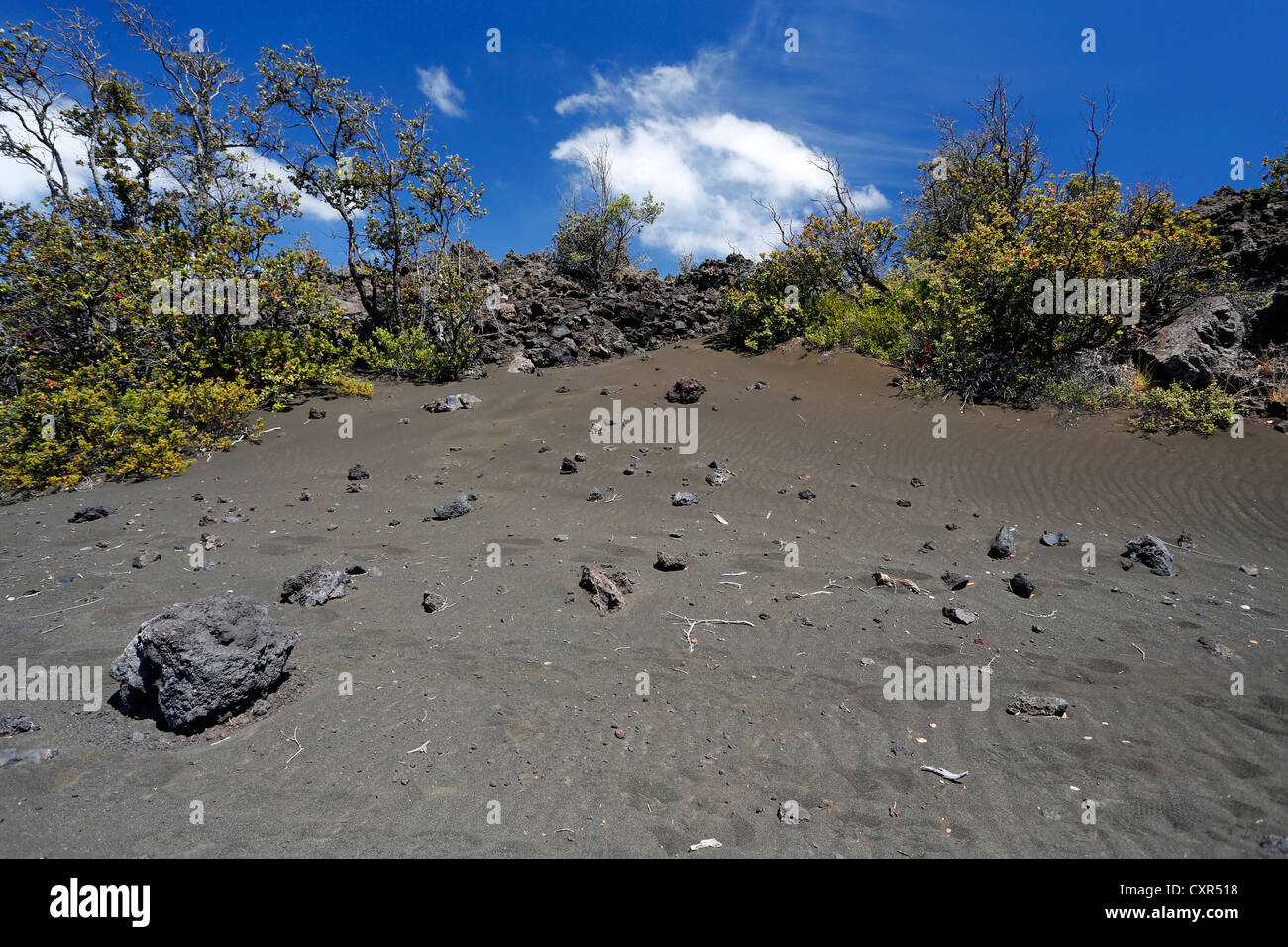 Kau desert hires stock photography and images Alamy