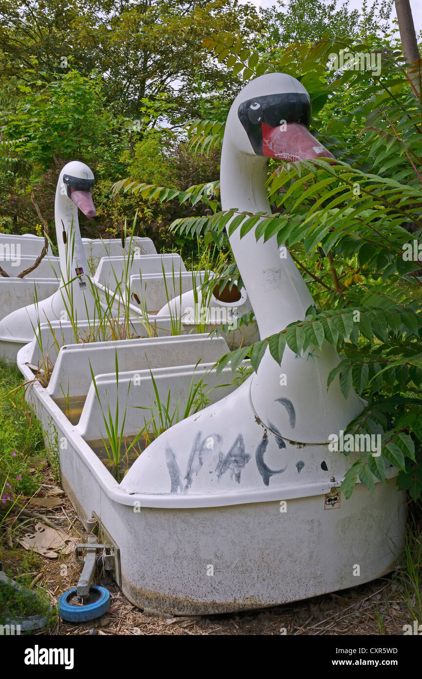 Morbid charm of swan gondolas, abandoned Spreepark Berlin amusement park, formerly known as Kulturpark Plaenterwald in the Stock Photo