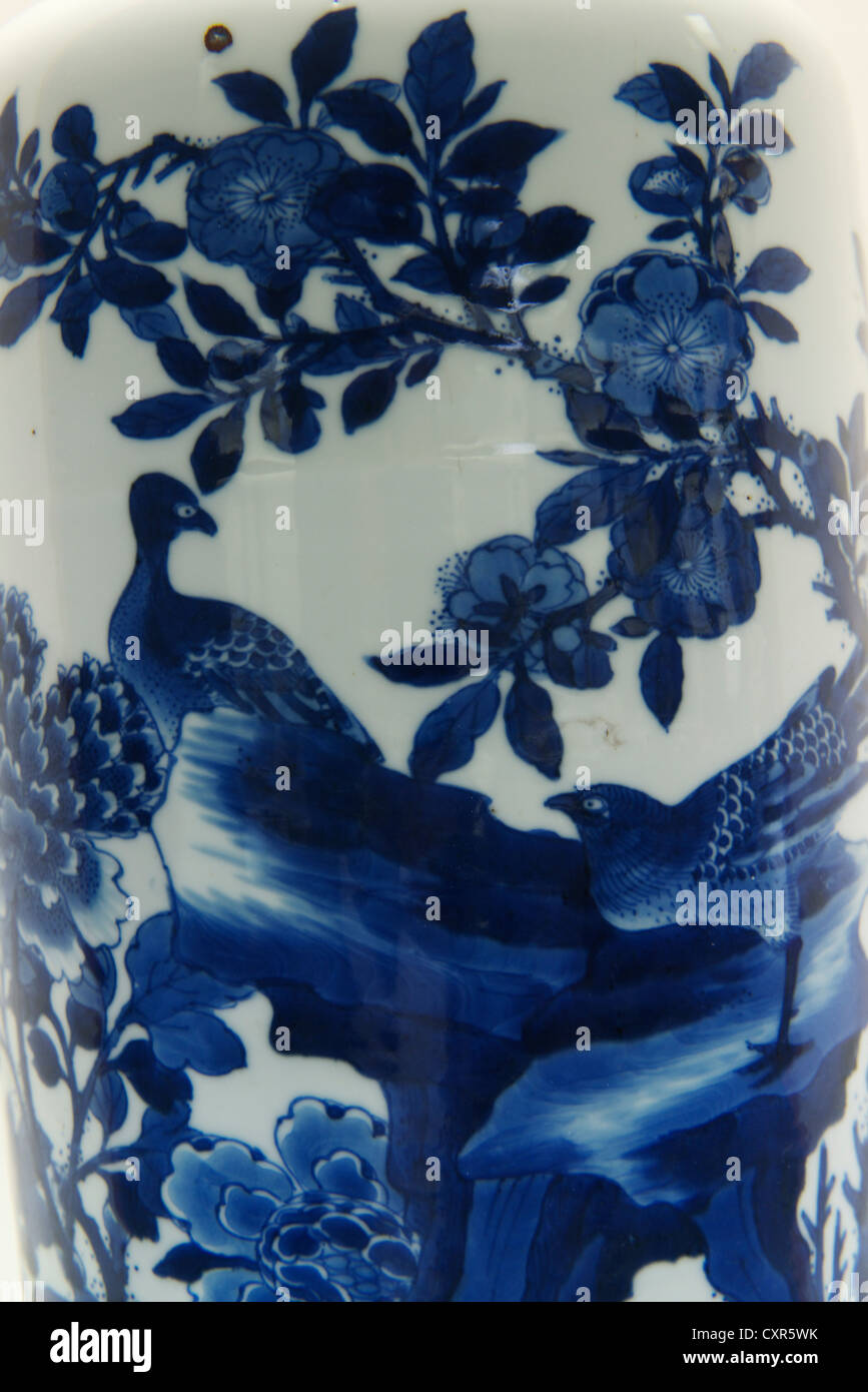 Details of golden pheasants and peony pattern on a blue and white porcelain vase of Kangxi (1654-1722). Shanxi Museum. China. Stock Photo