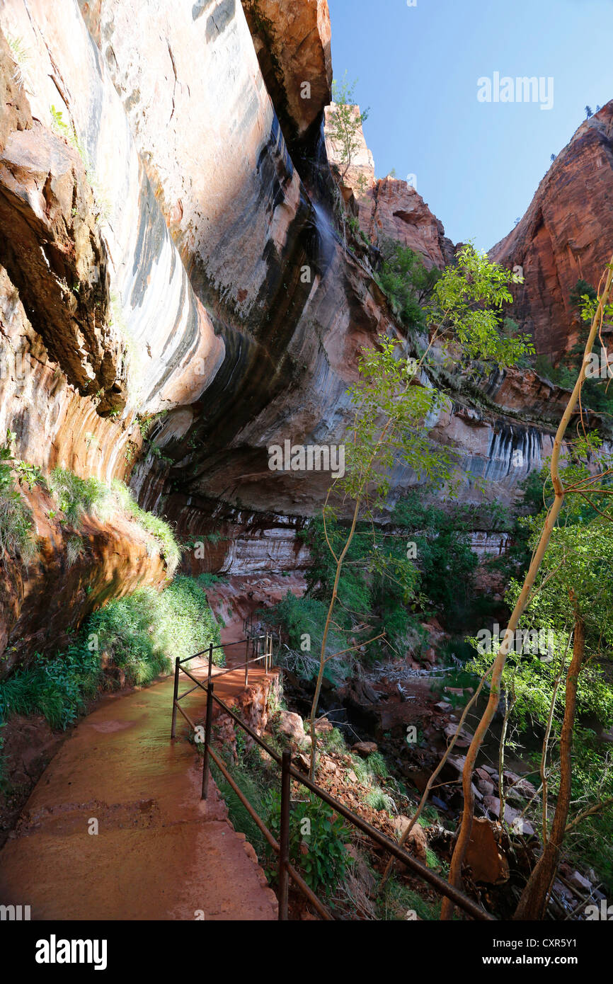 Water falling from an overhanging rock in Zion National Park, Utah, USA Stock Photo