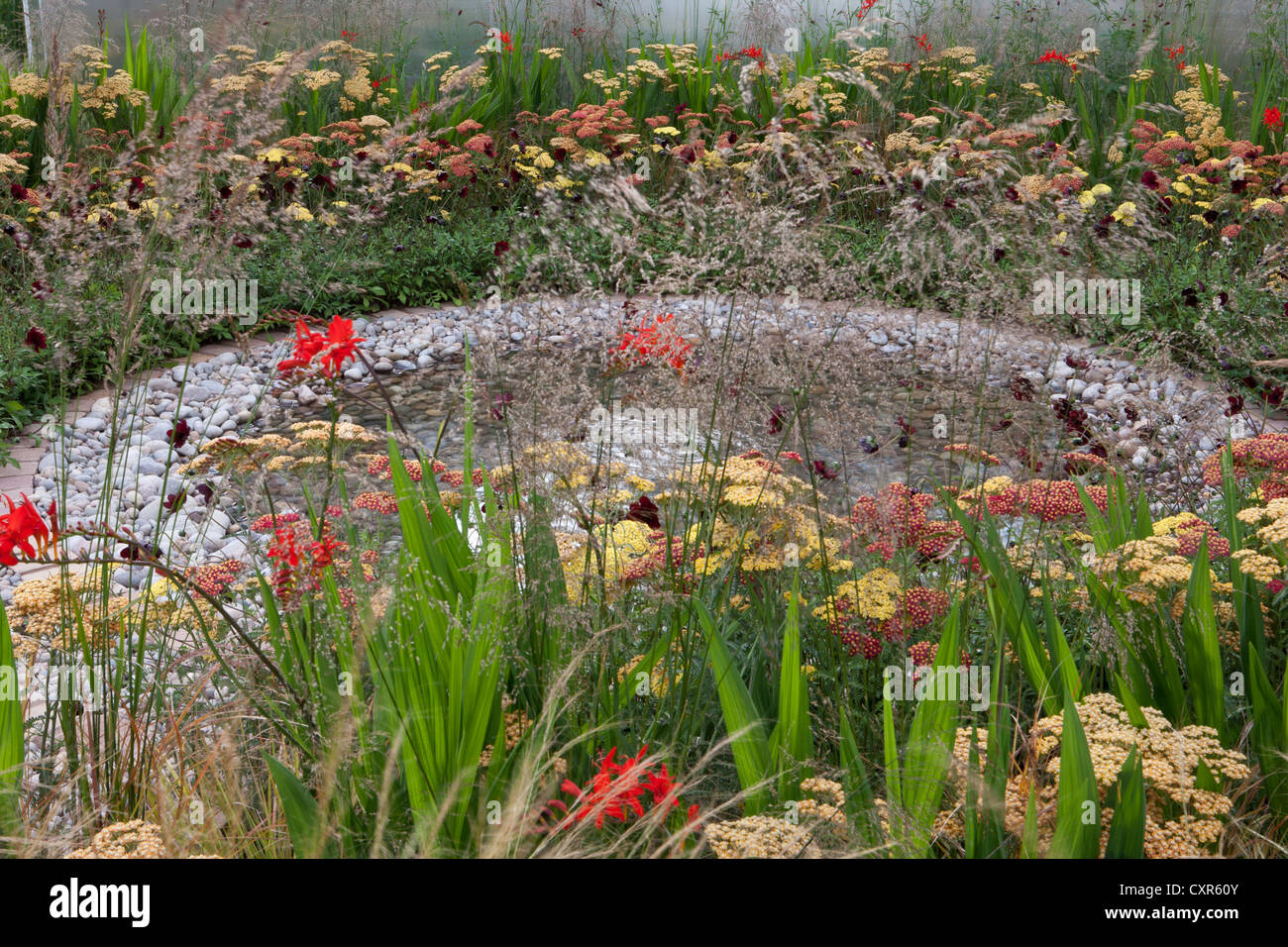 Summer garden with Mixed ornamental grasses grass and colourful flower border with a small pond water feature UK Stock Photo