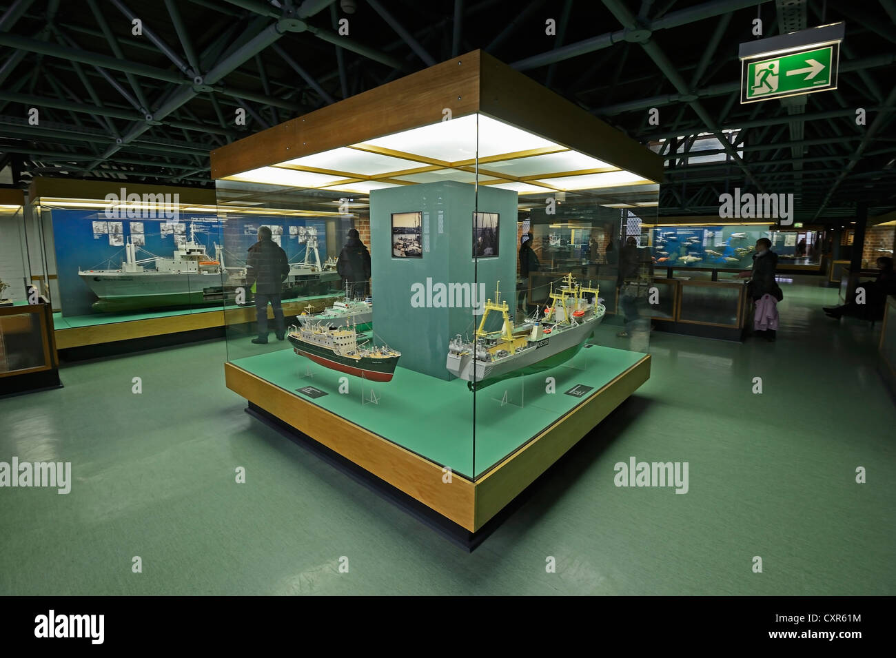 Exhibition at the Meeresmuseum, Oceanographic Museum, Hanseatic City of Stralsund, Mecklenburg-Western Pomerania, Property Stock Photo