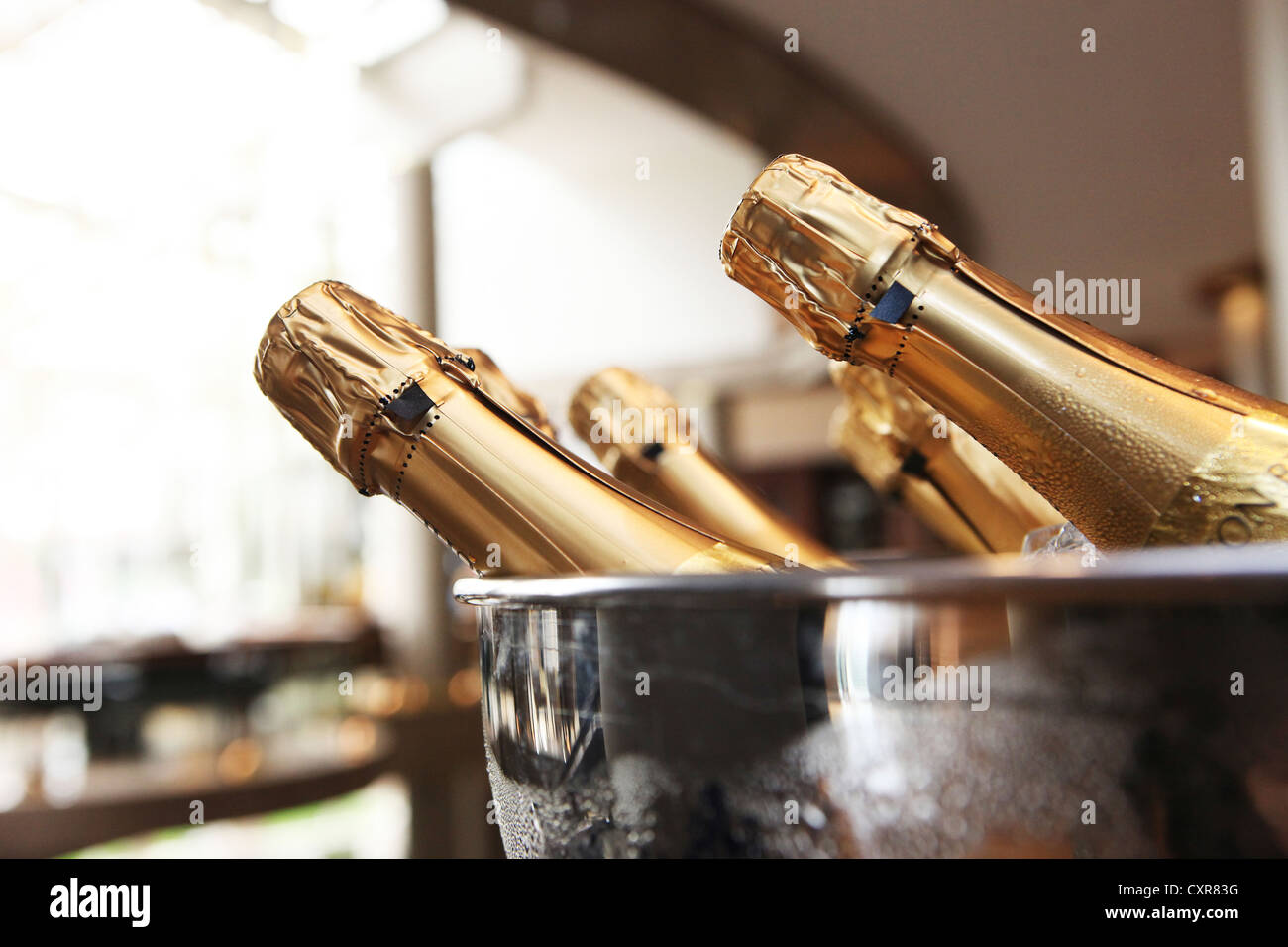 Cooler with bottles of champagne Stock Photo