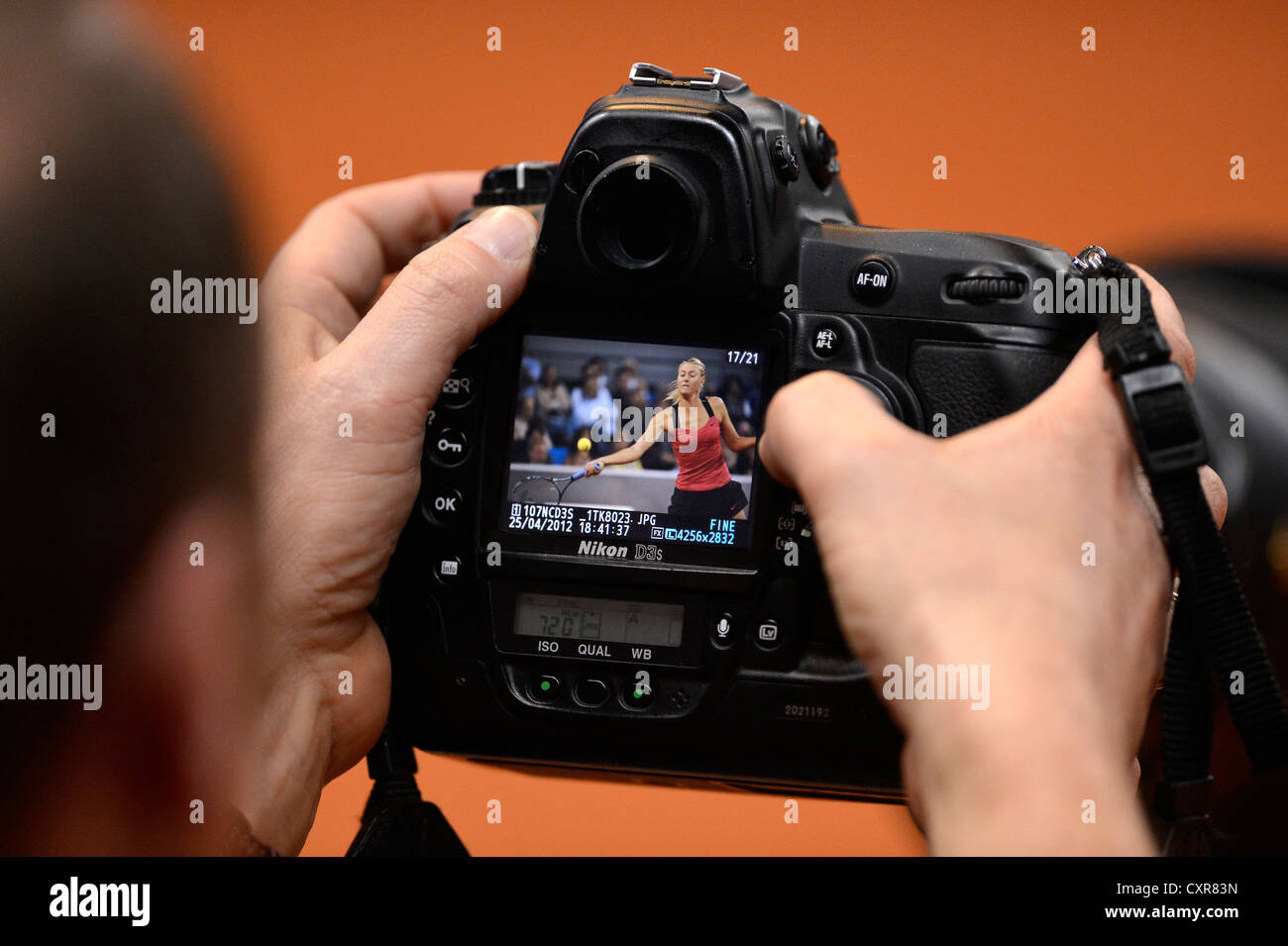 Maria Sharapova, RUS, in the focus of the press, Nikon D3s camera, press photographer, Porsche Tennis Grand Prix, Porsche Cup Stock Photo