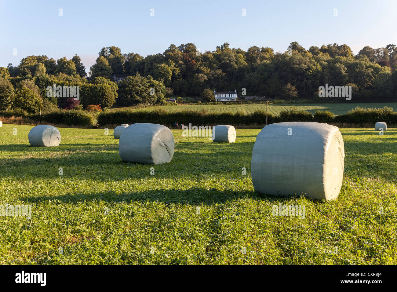 HAY BALES WRAPPED IN PLASTIC IN FIELD GLOUCESTERSHIRE ENGLAND WITH WALKERS IN BACKGROUND UK Stock Photo
