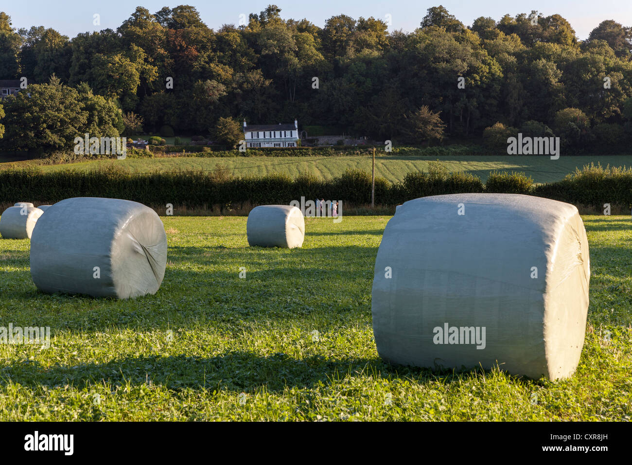 HAY BALES WRAPPED IN PLASTIC IN FIELD GLOUCESTERSHIRE ENGLAND WITH WALKERS IN BACKGROUND UK Stock Photo
