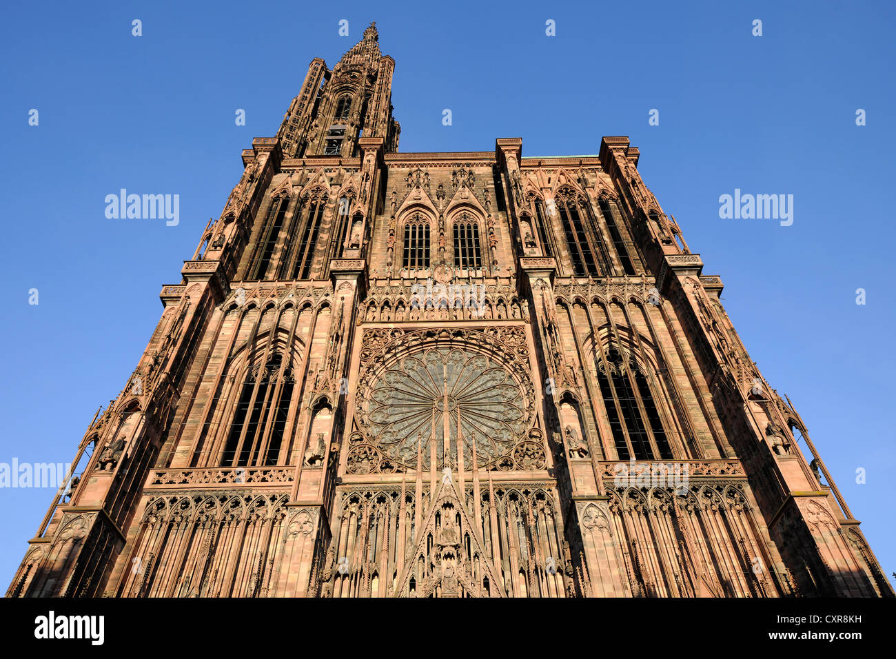 West facade, Strasbourg Cathedral, Cathedral of Our Lady of Strasbourg, Strasbourg, Bas-Rhin department, Alsace, France, Europe Stock Photo