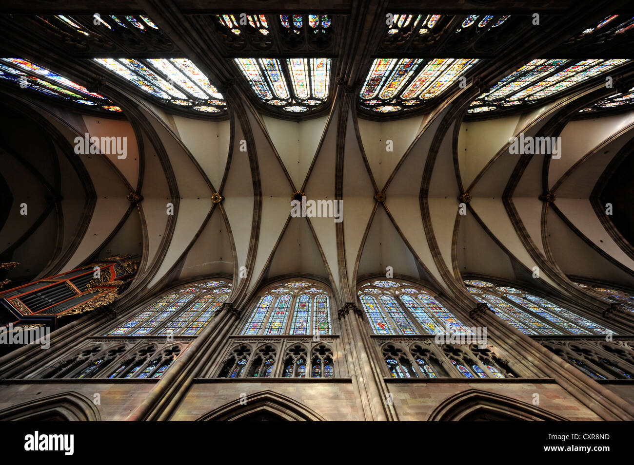 Reticulated vaulting, ceiling, nave, interior view, Strasbourg Cathedral, Cathedral of Our Lady of Strasbourg, Strasbourg Stock Photo