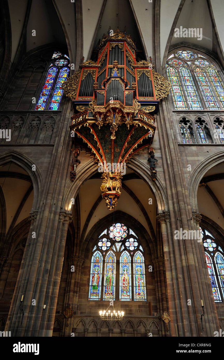 Organ in the nave, with its preserved Gothic casing, nave, interior view, Strasbourg Cathedral, Cathedral of Our Lady of Stock Photo