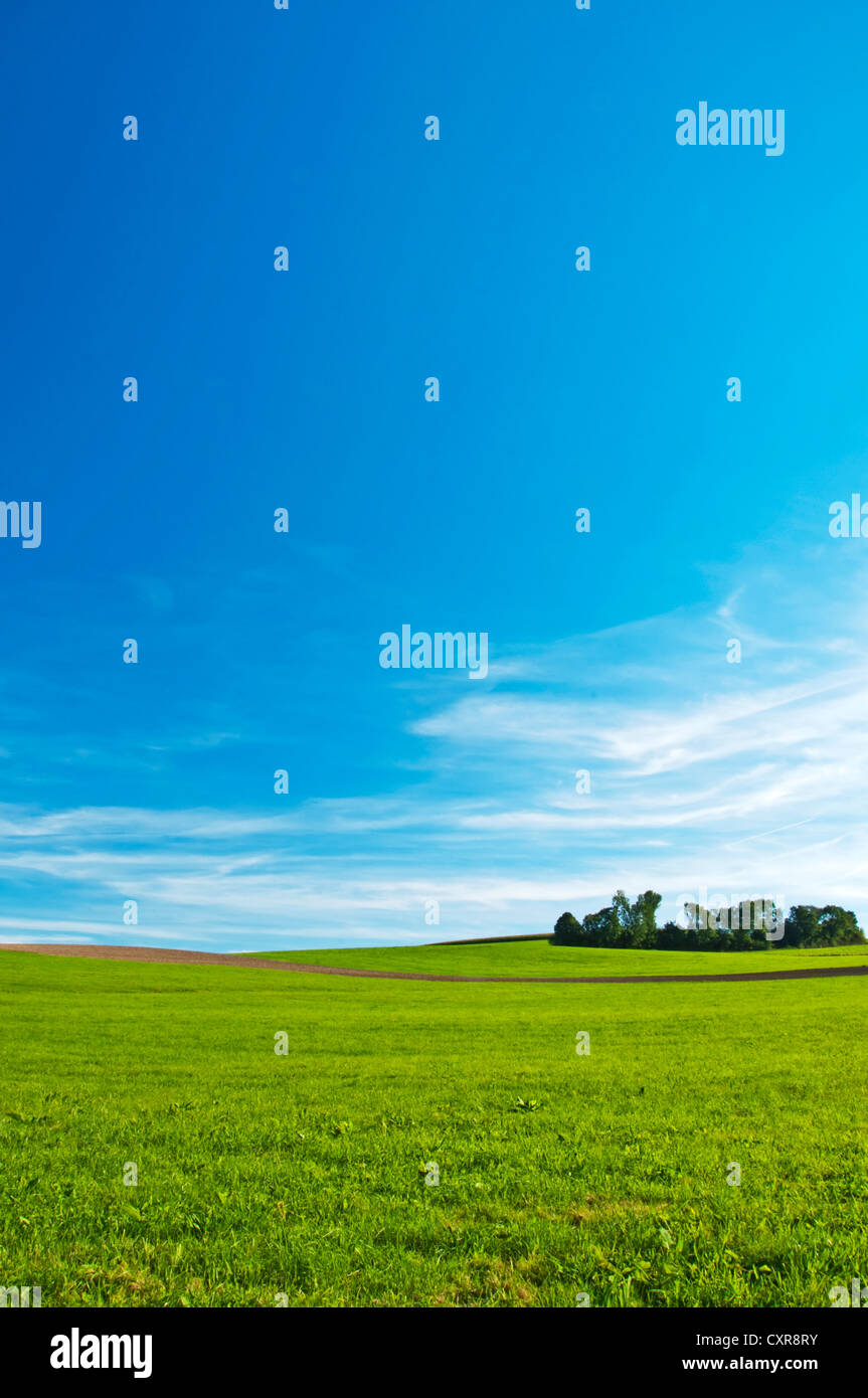 green with small hills Stock Photo Alamy green with small hills Stock Photo Alamy
