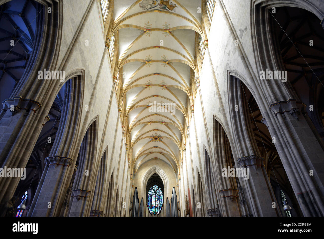 Vaulted ceilings, ceiling view, church, nave, interior view, network of