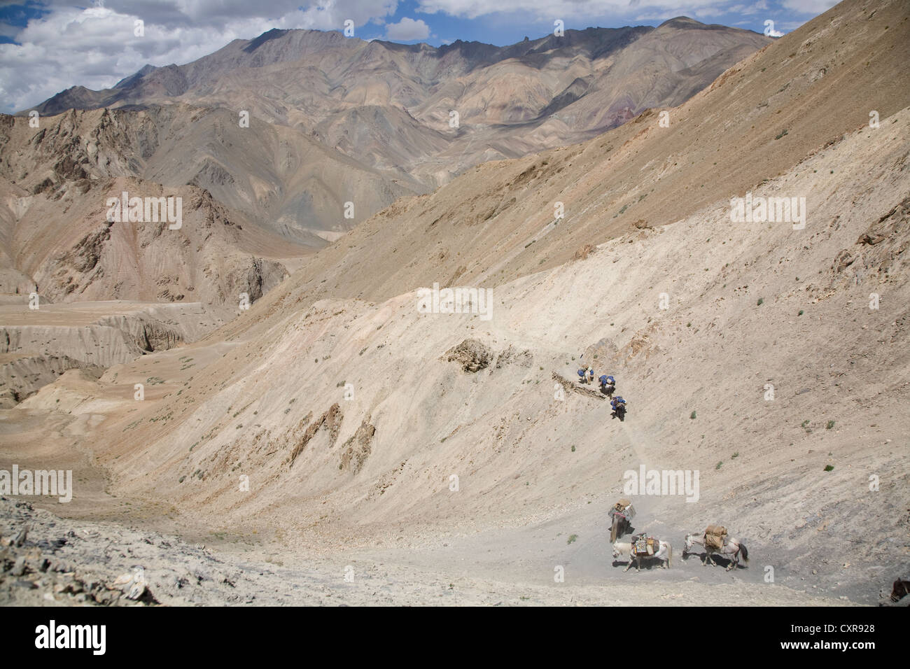 Trekking in the Indian Himalaya Stock Photo