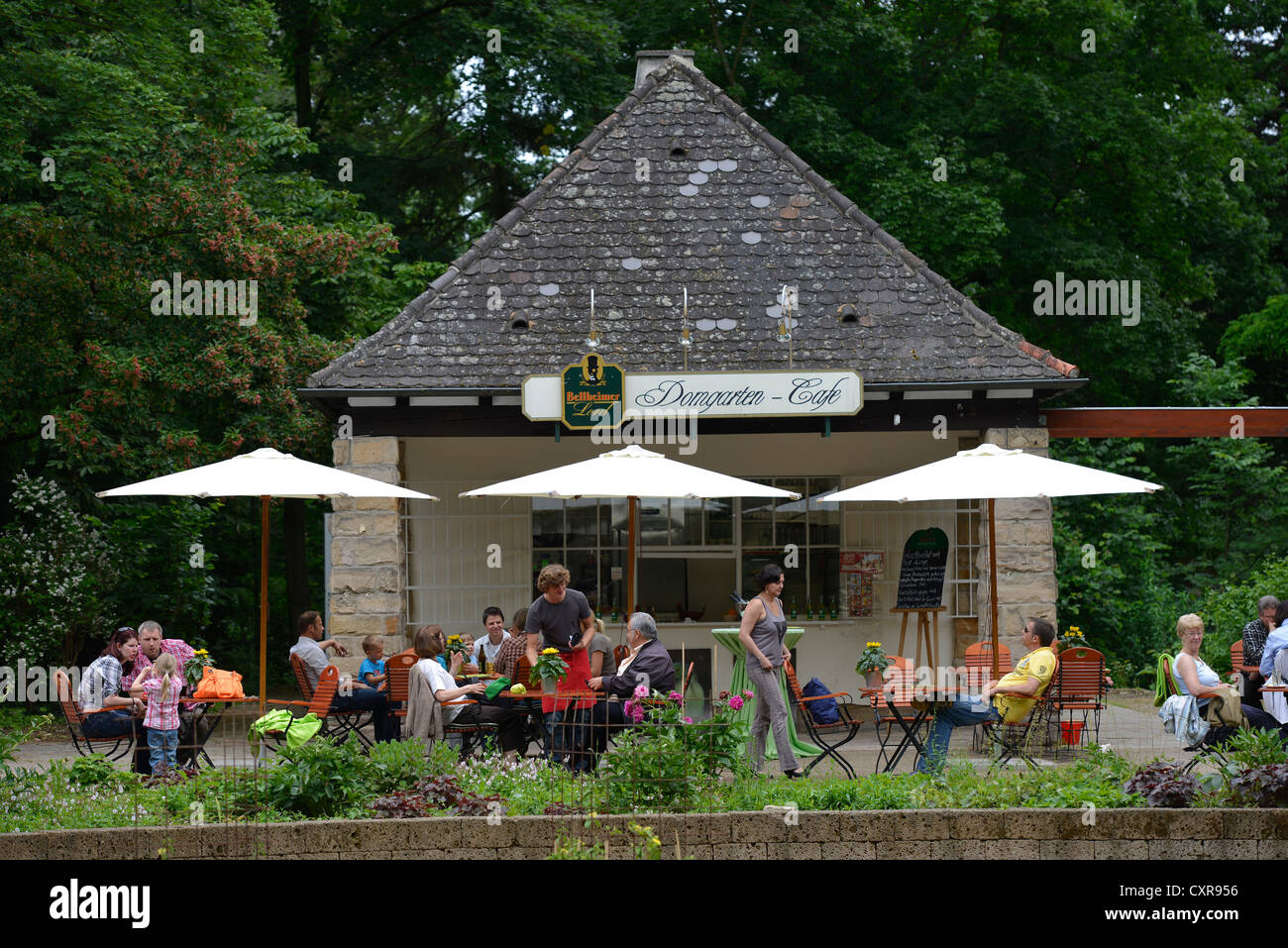 Domgarten Café in front of Speyer Cathedral, Speyer, Rhineland-Palatinate, Germany, Europe, PublicGround Stock Photo