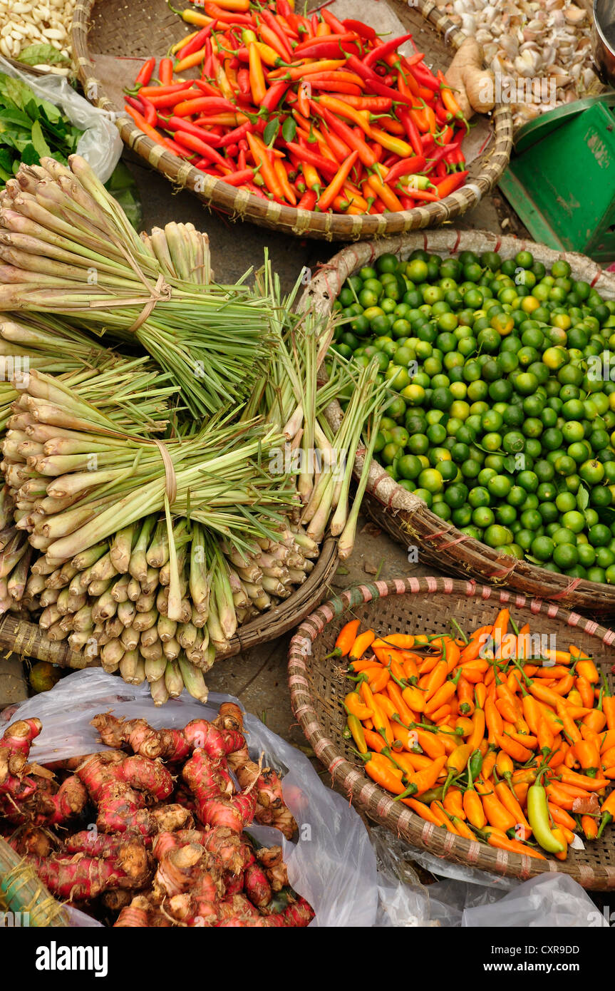 Ginger, lemon grass, lime, hot peppers, traditional baskets, market in the historic town centre, Ha Noi, Hanoi, Vietnam Stock Photo