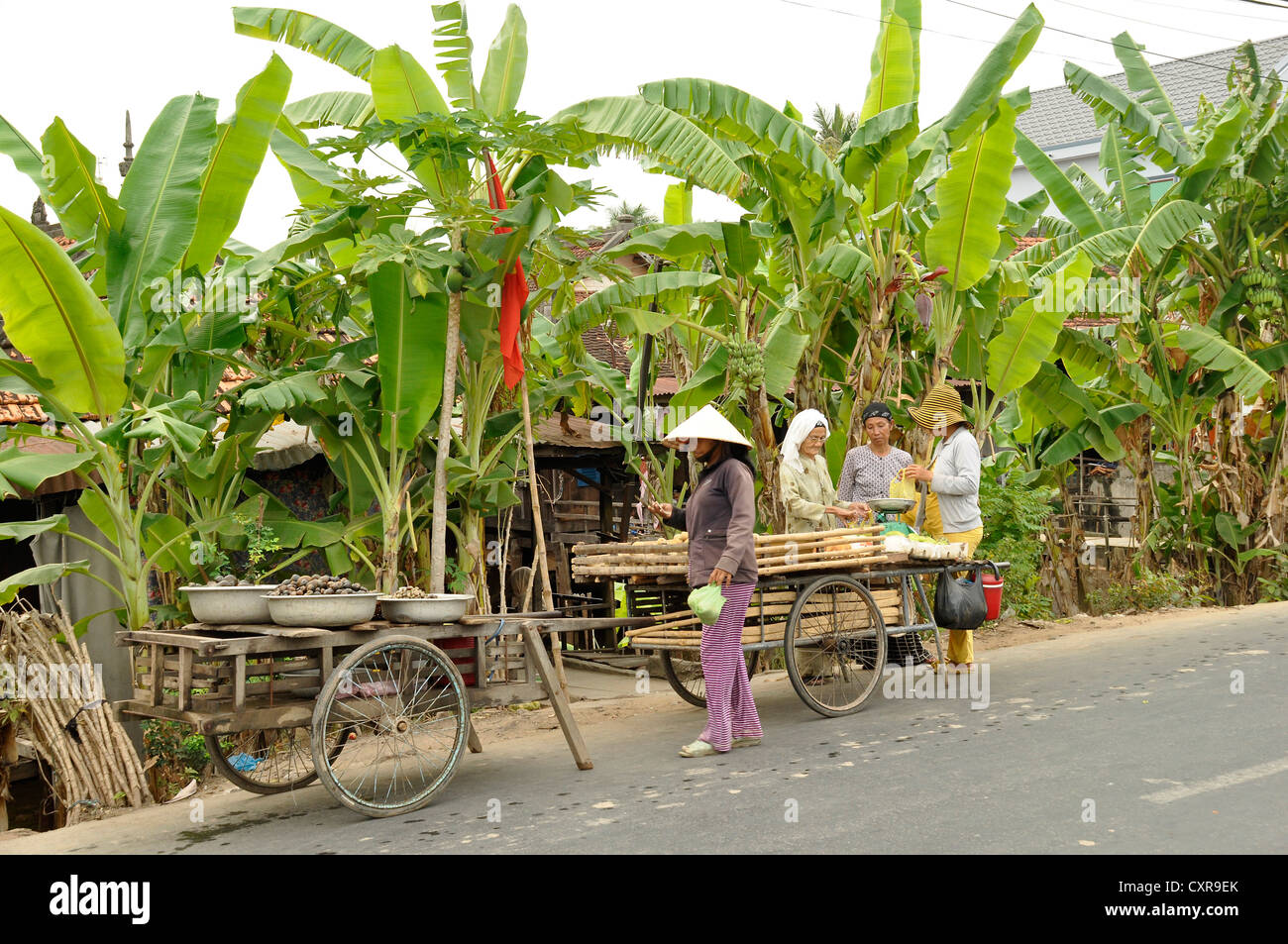 Street scene, Chau Doc, Mekong Delta, Vietnam, Southeast Asia, Asia Stock Photo