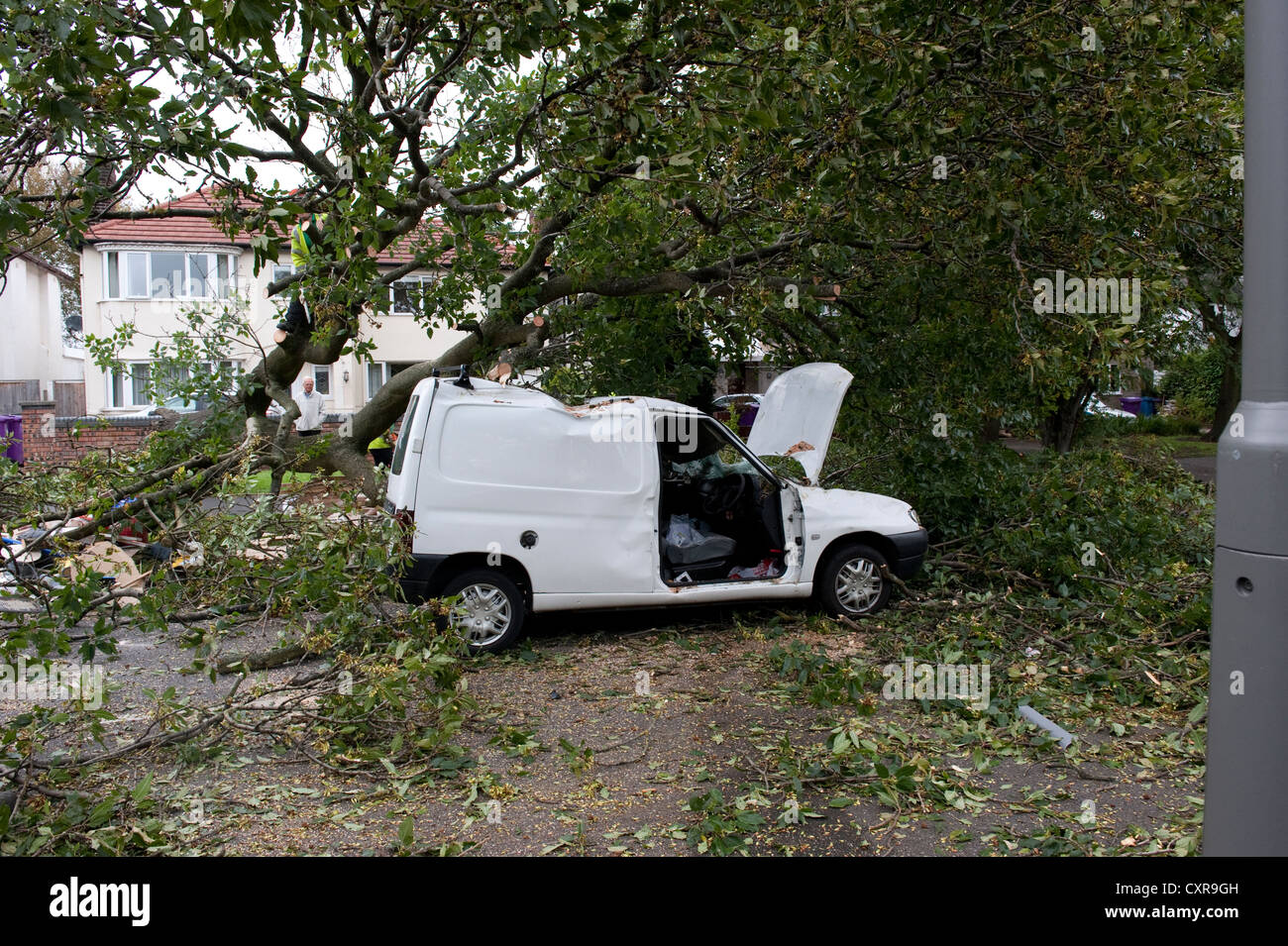 White Van Crushed by falling tree in high winds Stock Photo Alamy