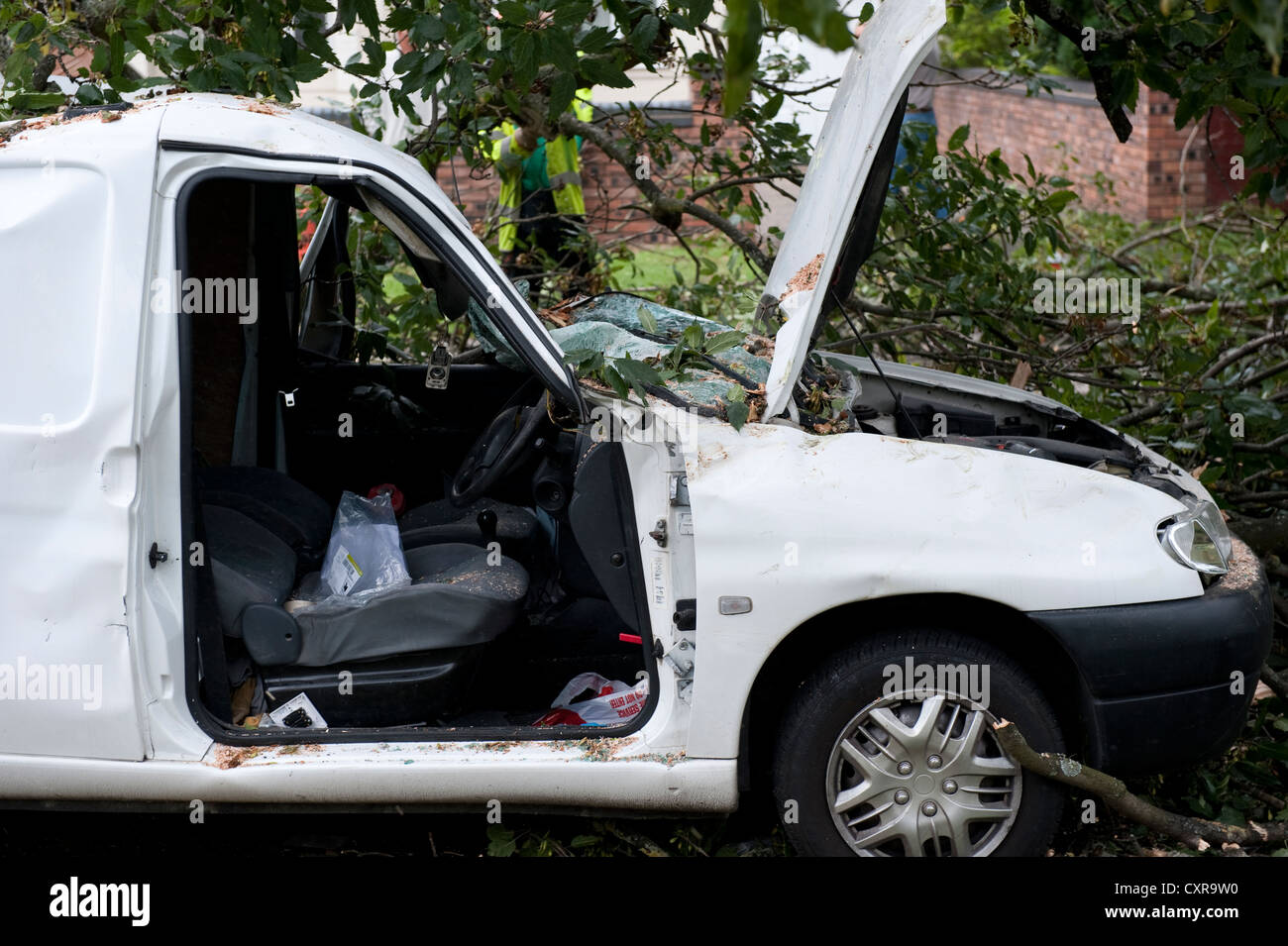 White Van Crushed by falling tree in high winds Stock Photo Alamy