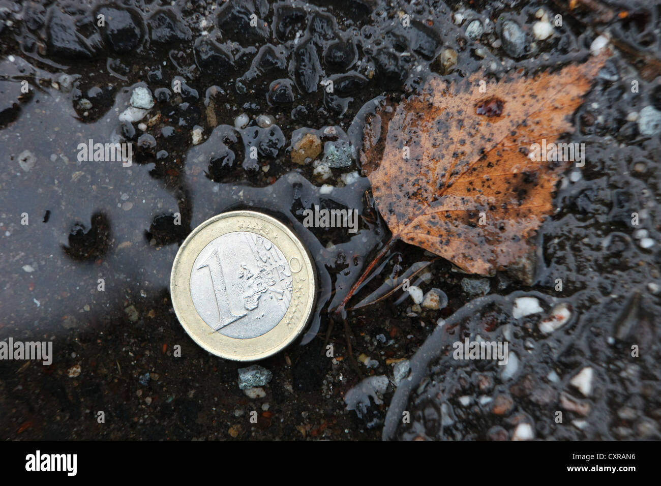 Euro coin lying in a puddle, symbolic image, money lying on the streets Stock Photo