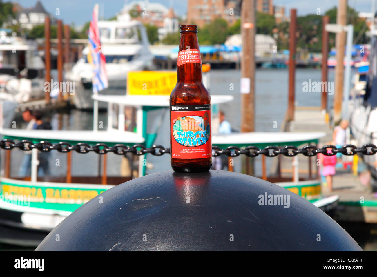 Thirsty beaver bottled beer hires stock photography and images Alamy