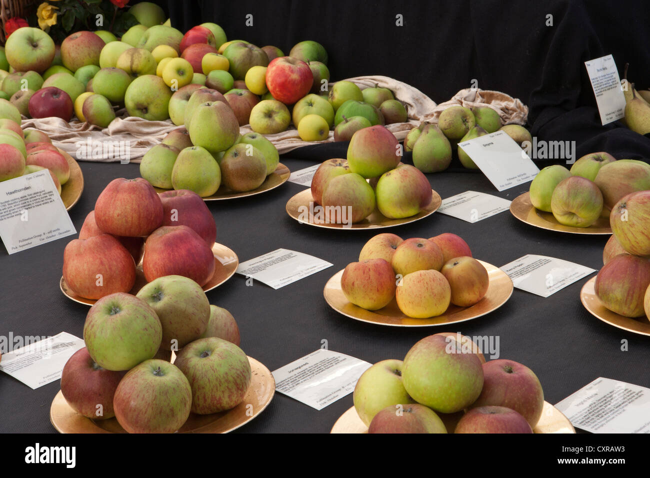 R V Roger apple and pear display awarded silver gilt flora Malvern Autumn show 2012 Stock Photo