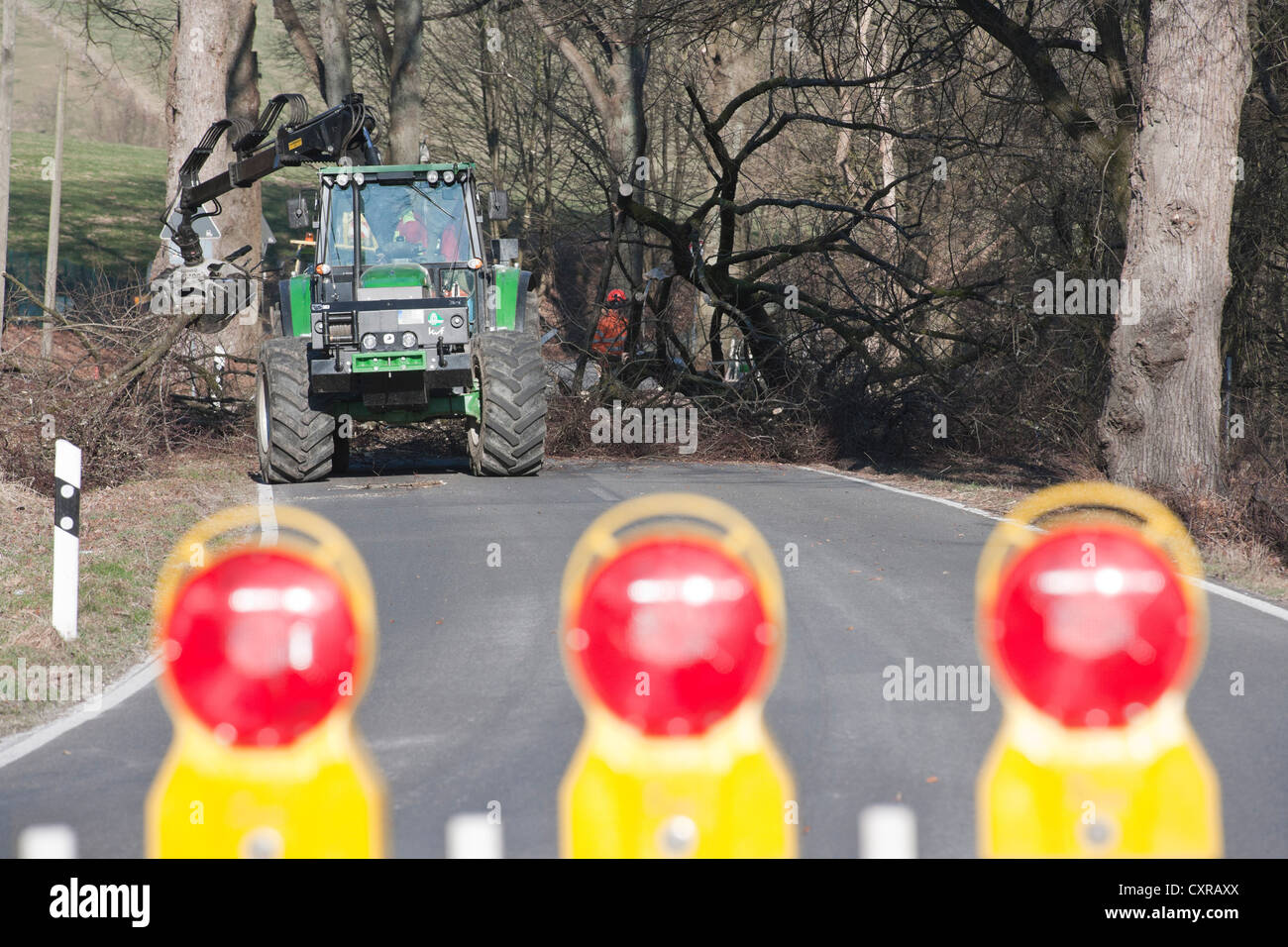 Road closure due to tree felling on the L284 road, Wipperfuerth, Bergisches Land region, North Rhine-Westphalia, Germany, Europe Stock Photo