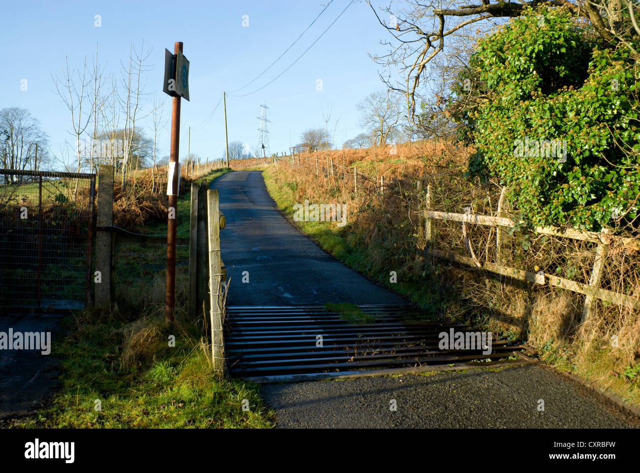 cattle grid on road above pontypridd pen y coedcae south wales uk Stock Photo