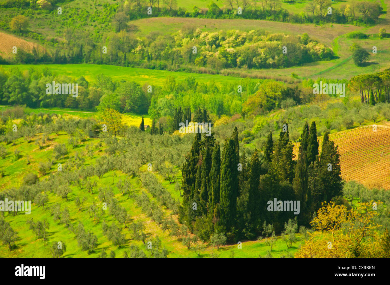 Views of the Tuscan countryside from San Casciano Stock Photo