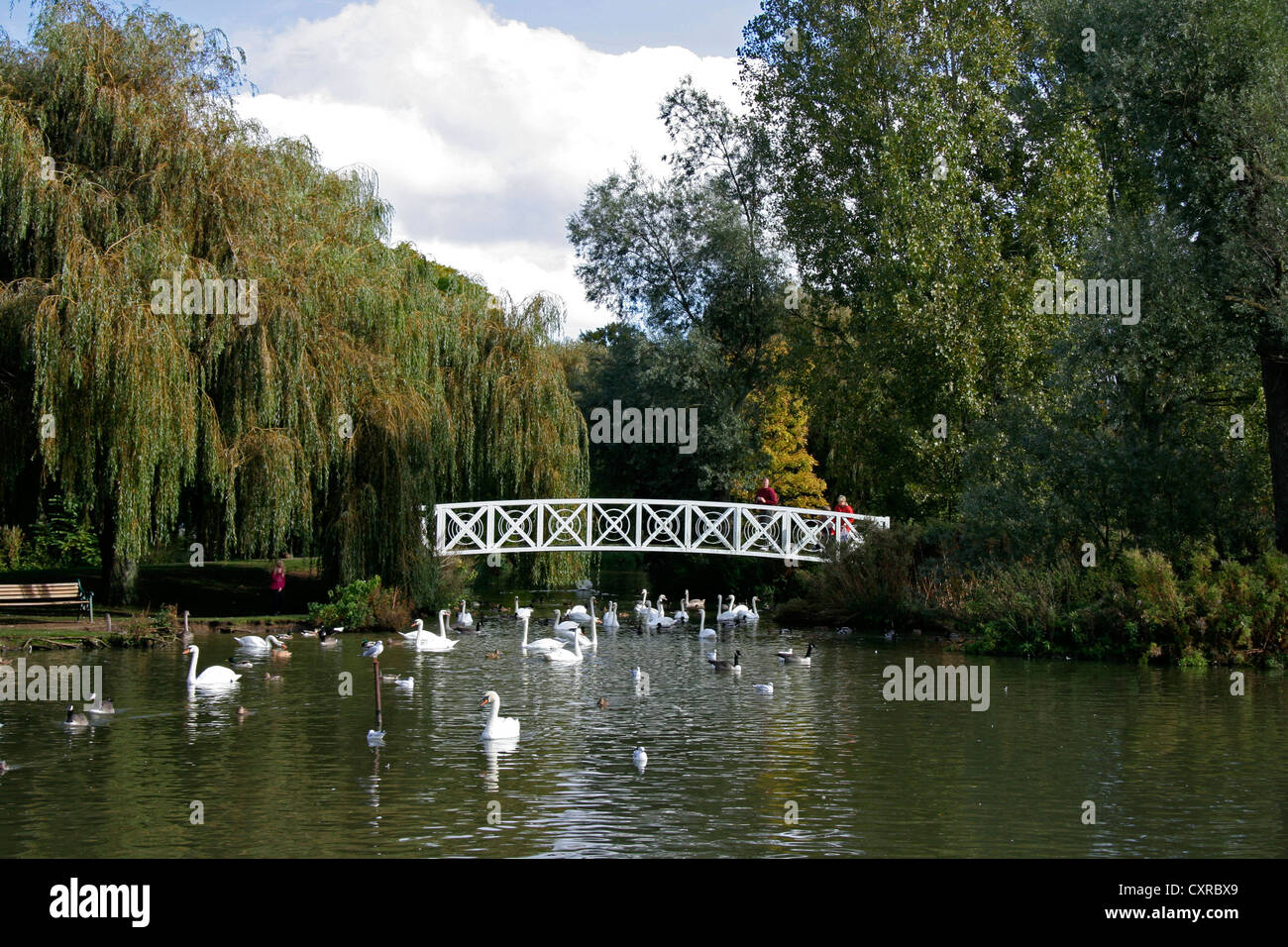 Riverside Park St Neots Cambridgeshire Stock Photo