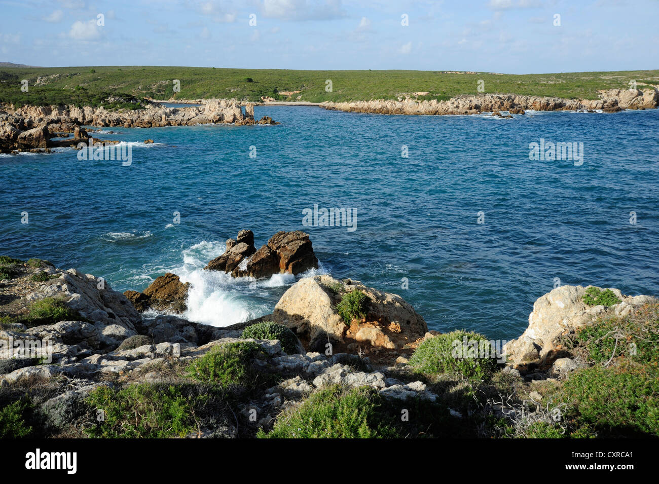 Cala Pudent, bay with cliffy coast, Arenal de Son Saura, Minorca, Menorca, Balearic Islands, Mediterranean Sea, Spain, Europe Stock Photo