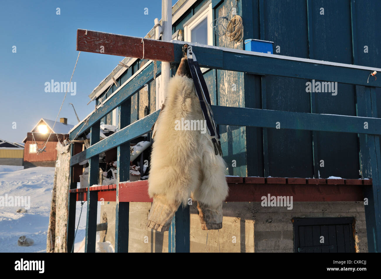 Polar bear fur coat hi-res stock photography and images - Alamy