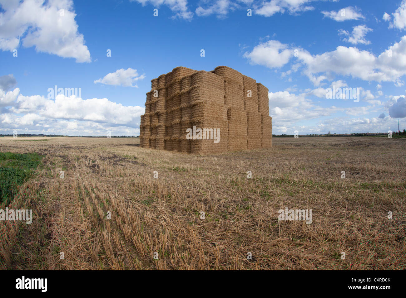 photograph of a very large haystack near Ely, fens, Cambridgshire, UK ...
