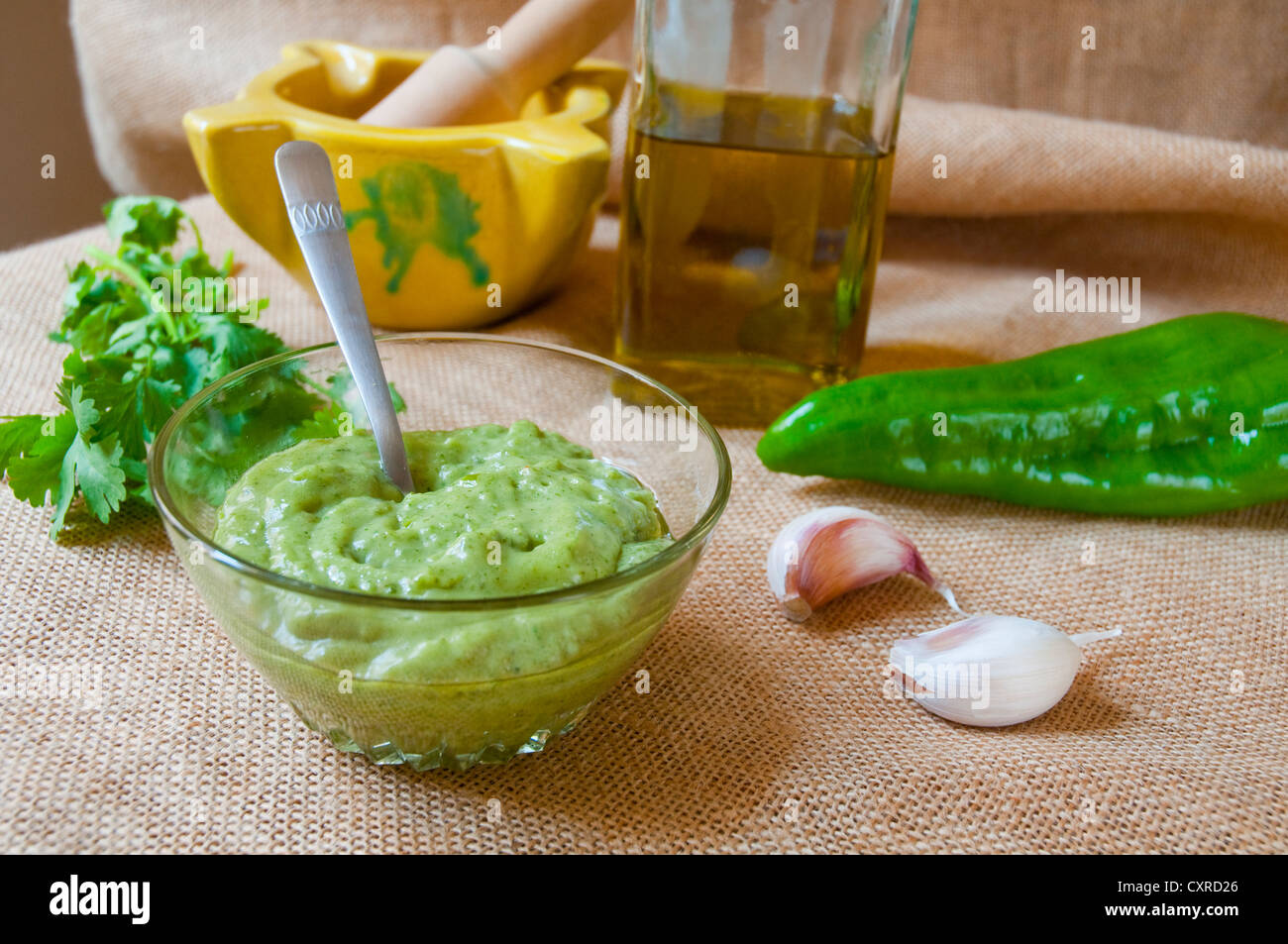 Green mojo with ingredients. Canary Islands, Spain. Stock Photo