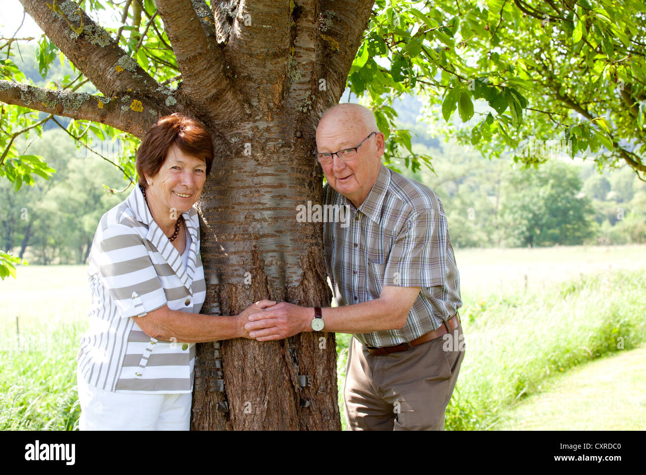 Elderly couple, retirees, 70-80 years old, tree, Bengel, Rhineland-Palatinate, Germany, Europe Stock Photo