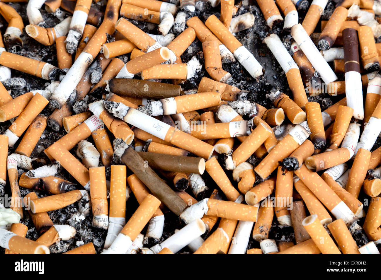 Cigarette butts in a large ashtray, Hanover, Lower Saxony, Germany, Europe Stock Photo