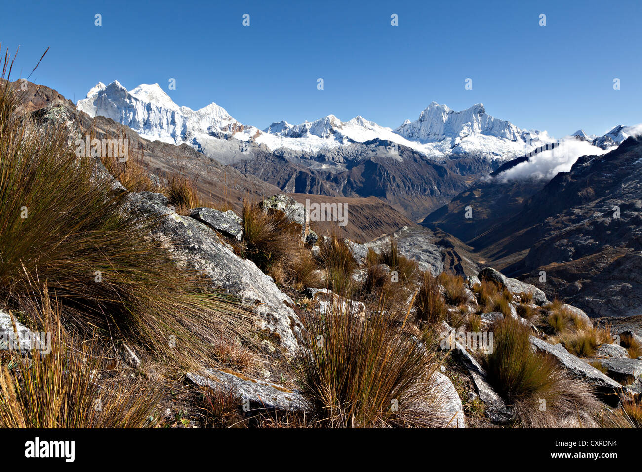 Nevado pisco hires stock photography and images Alamy