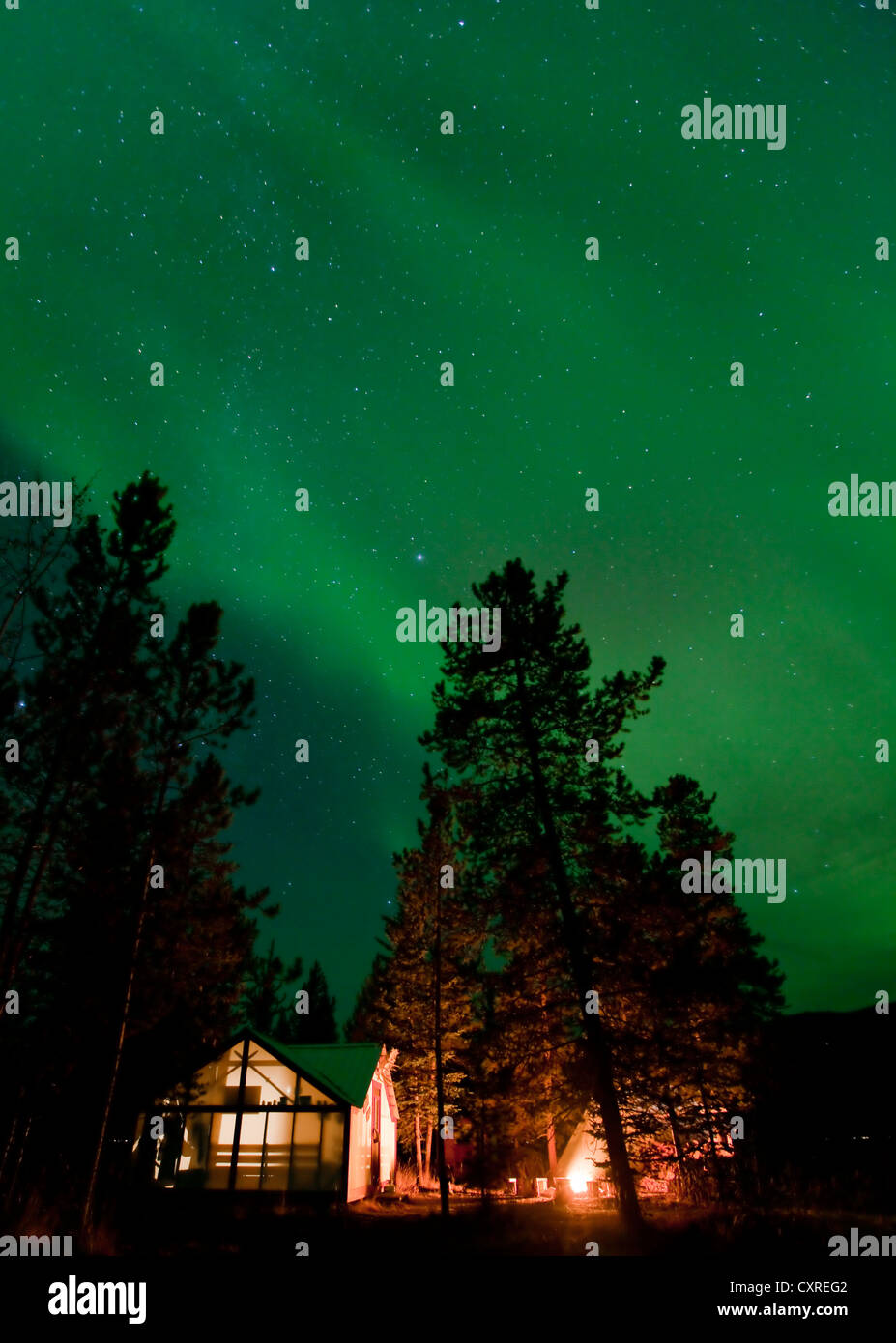 Illuminated wall tent, cabin, green northern polar lights, Aurora
