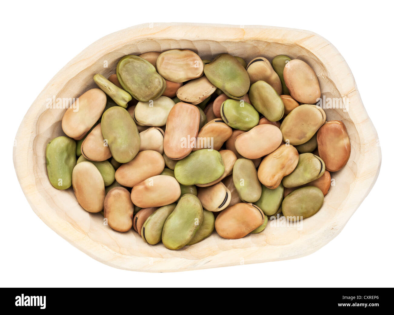 dried fava (broad) bean in a rustic wood bowl isolated on white Stock Photo