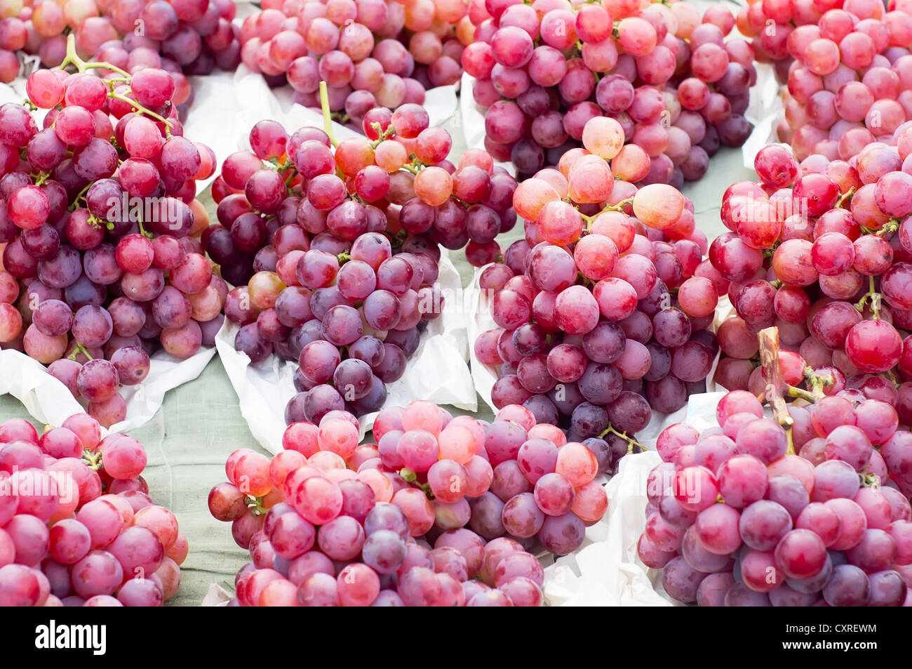 Fresh purple grapes arranged in neat rows Stock Photo Alamy