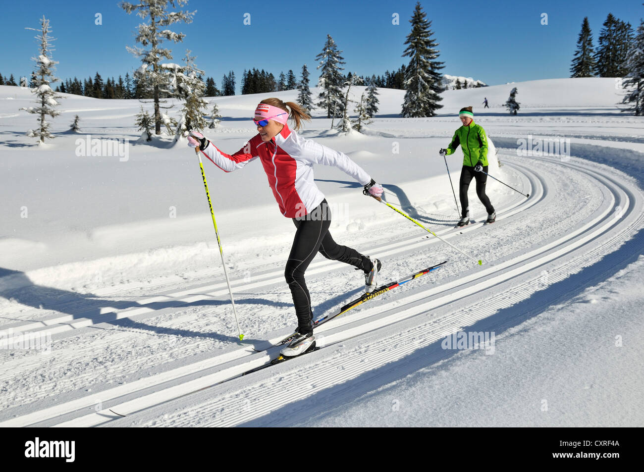 Evi Sachenbacher-Stehle cross-country skiing, Hemmersuppenalm alp, Reit im Winkl, Chiemgau, Bavaria, Germany, Europe Stock Photo