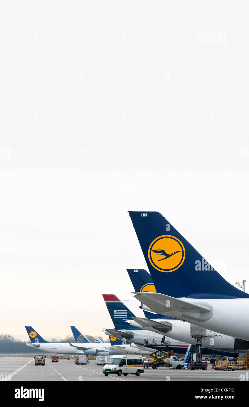 Lufthansa aircraft and aircraft of its Star Alliance partners standing at their parking positions in Terminal 2 of Munich Stock Photo