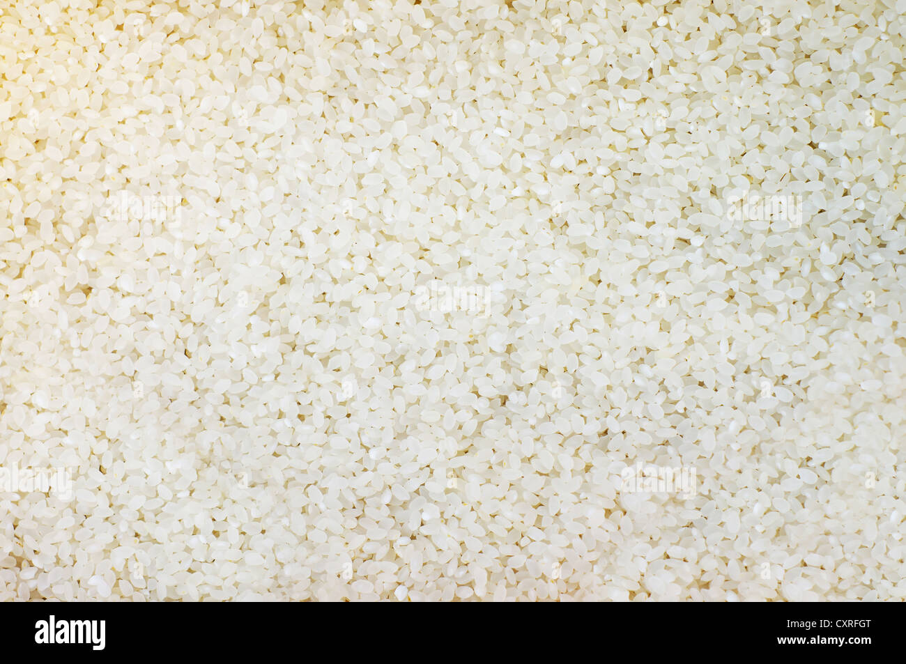 A lot of white rice grain Stock Photo Alamy