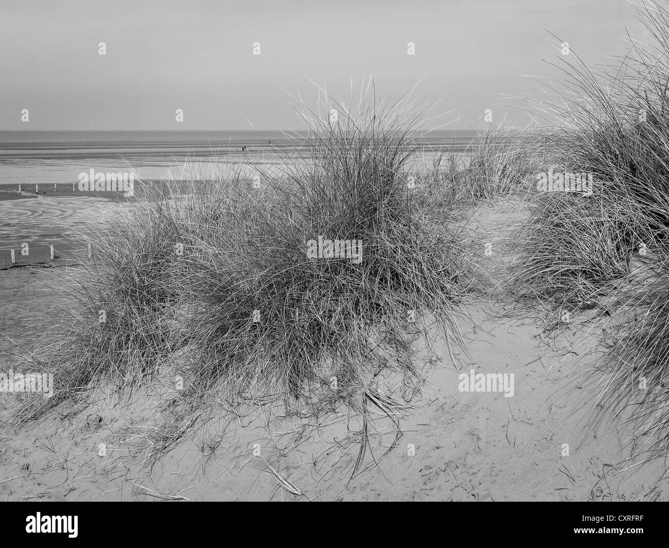mono sand dunes Stock Photo