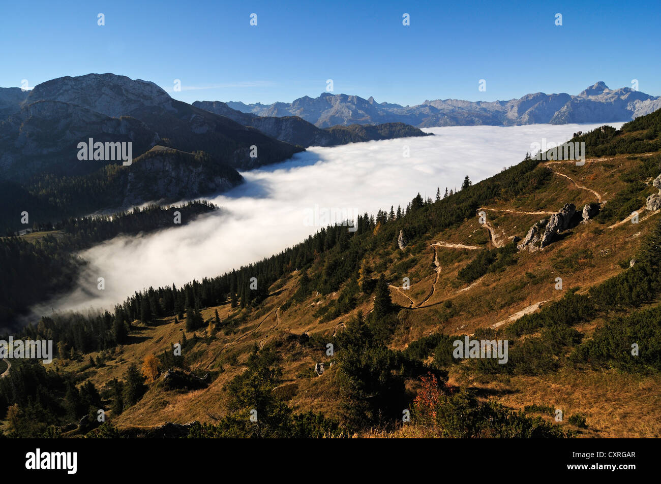 Jenner mountain bavaria hi-res stock photography and images - Alamy