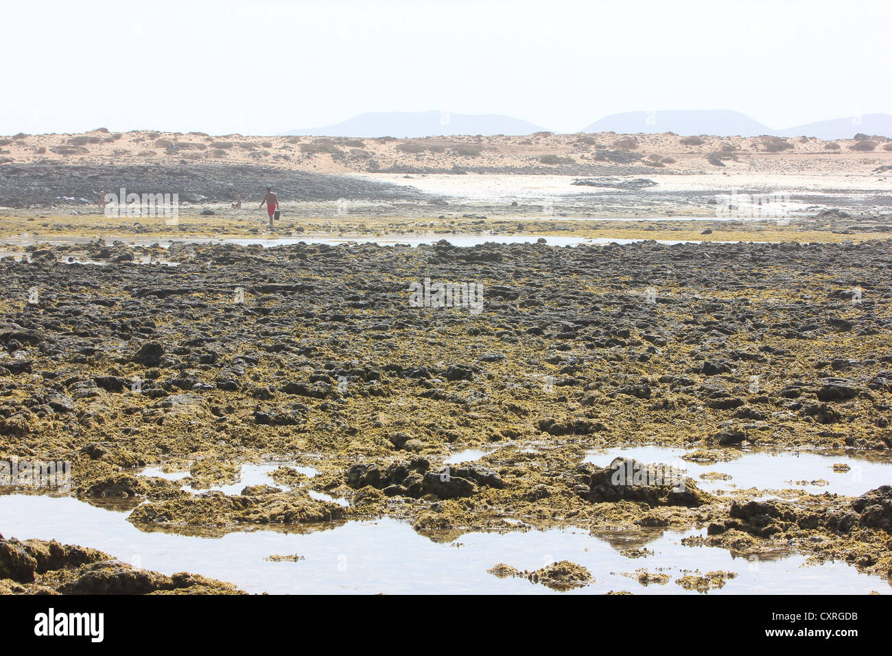 Fuerteventura, Canary Islands, Spain, vulcanic lava, seaside, photoarkive Stock Photo