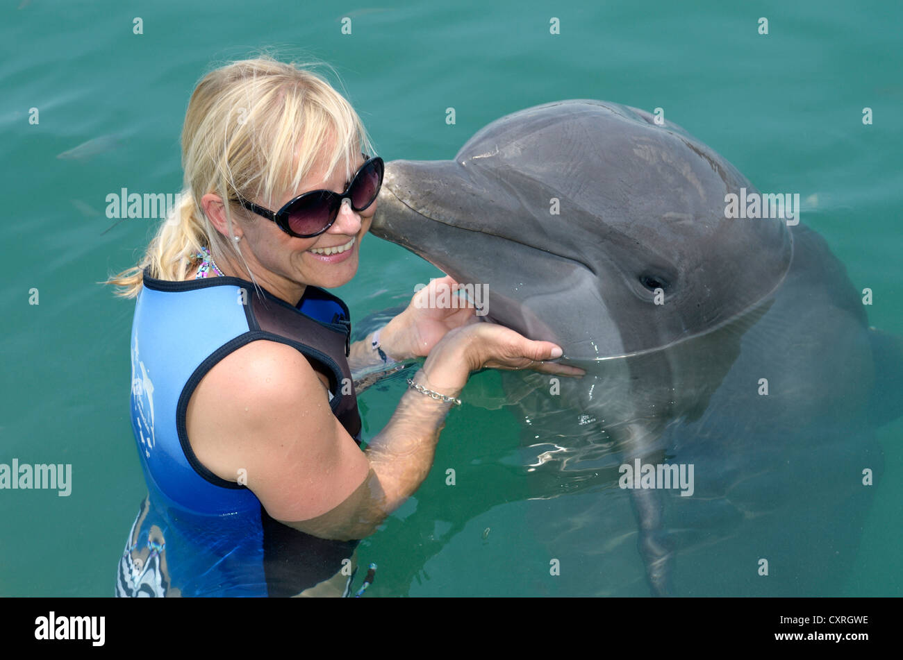 Tourist playing with a common bottlenose dolphin (Tursiops truncatus