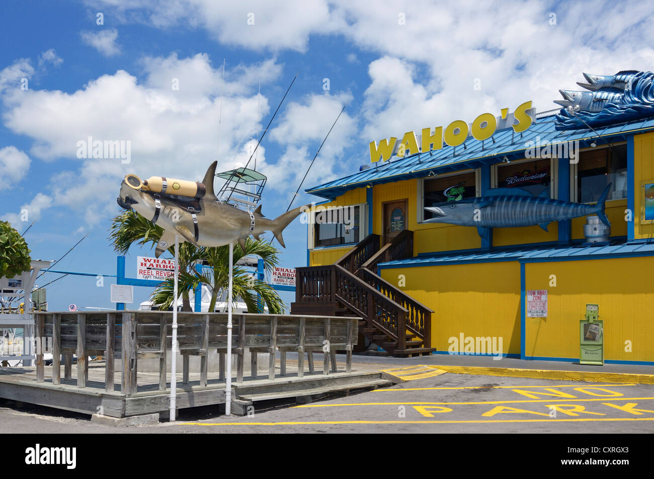 Dummy of a Hammerhead Shark with goggles and scuba diving gear in front