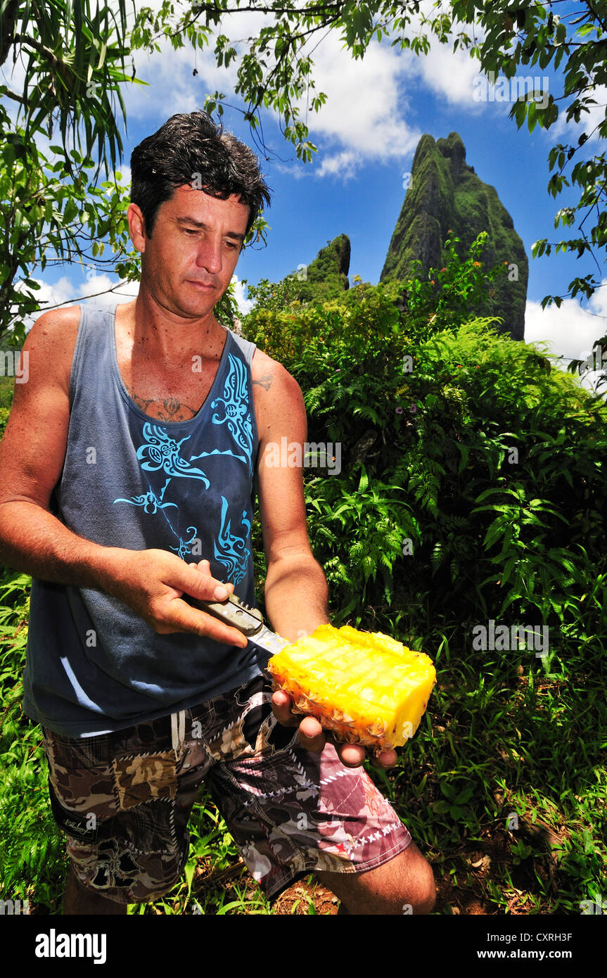 Man cutting a fresh pineapple, trekking to Three-Coconut-Pass, Mount Tohiea, Moorea, Windward Islands, Society, Islands Stock Photo