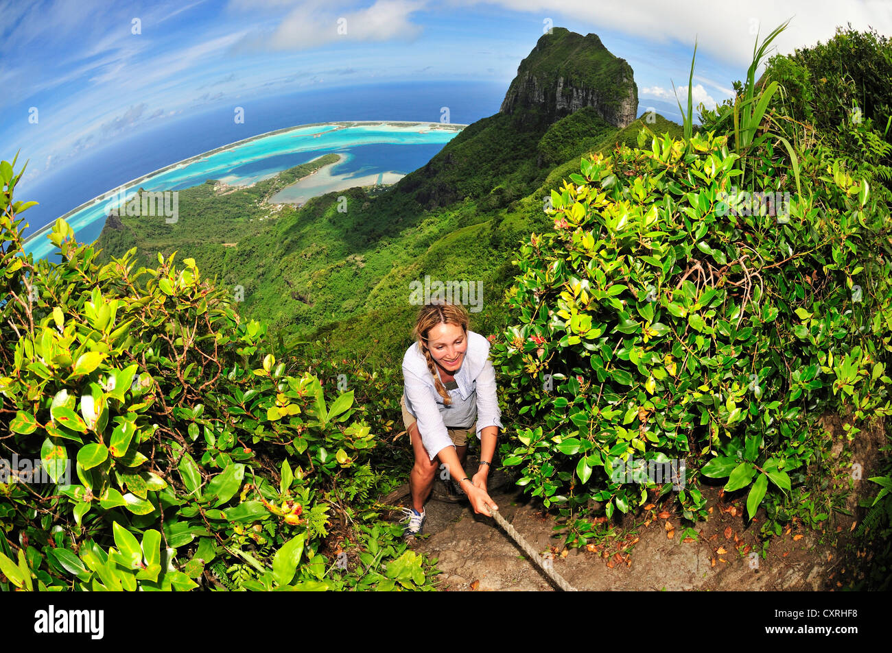 Woman hiking on Mount Pahia, Bora Bora, Leeward Islands, Society