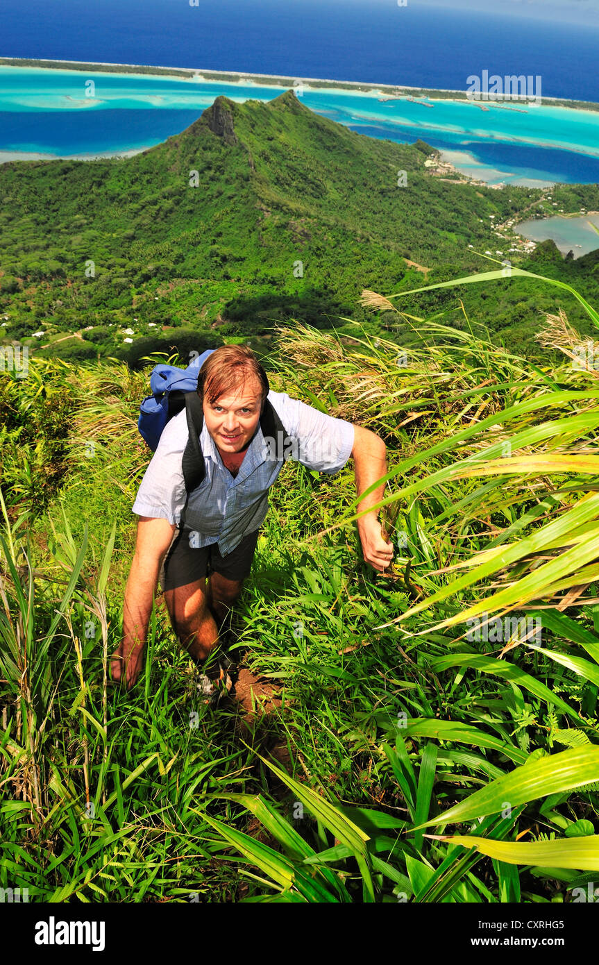 Hiking on Mount Pahia, Bora Bora, Leeward Islands, Society Islands